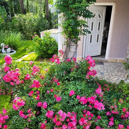 ゲストハウス Katy 4*